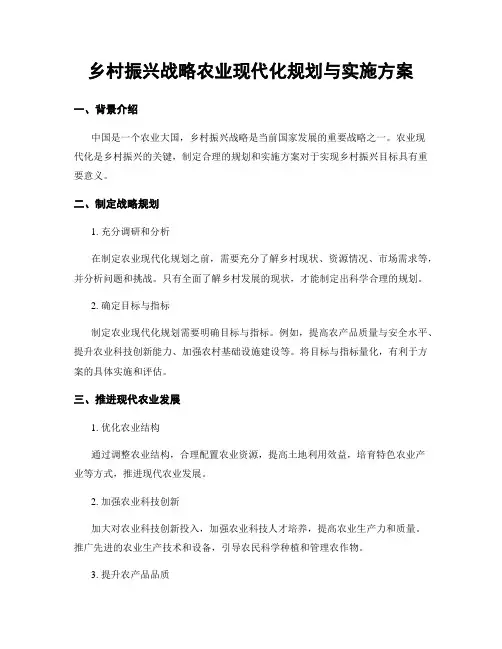 乡村振兴战略农业现代化规划与实施方案