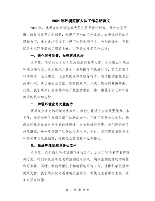 2024年环境监察大队工作总结范文