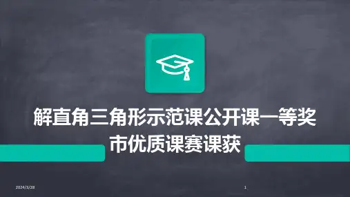 解直角三角形示范课公开课一等奖市优质课赛课获-2024鲜版