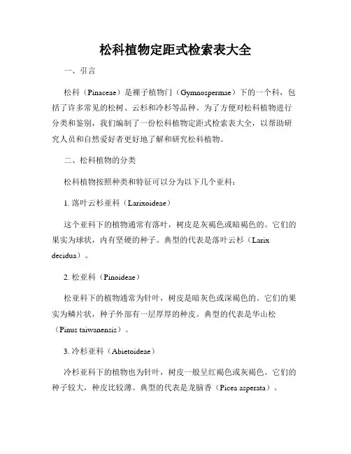 松科植物定距式检索表大全