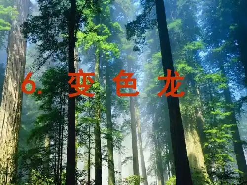 6.苏教版五年级上册变色龙课件