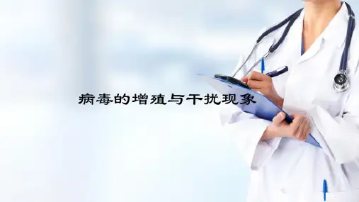 微生物学 病毒 病毒的增殖与干扰现象