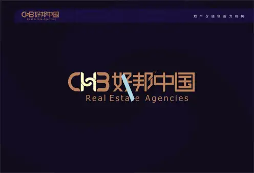 都江堰项目定位研究营销战略整合汇报1