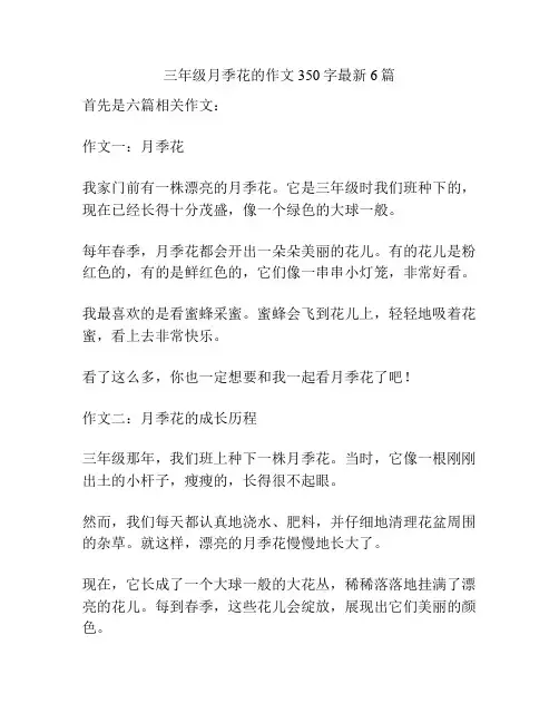 三年级月季花的作文350字最新6篇