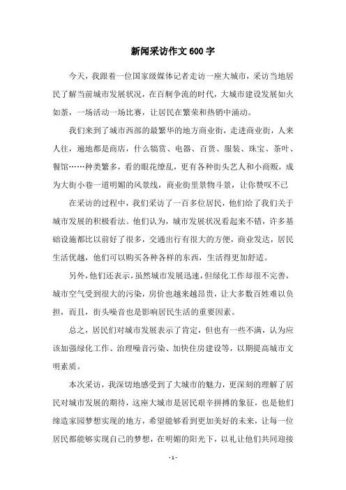 新闻采访作文600字