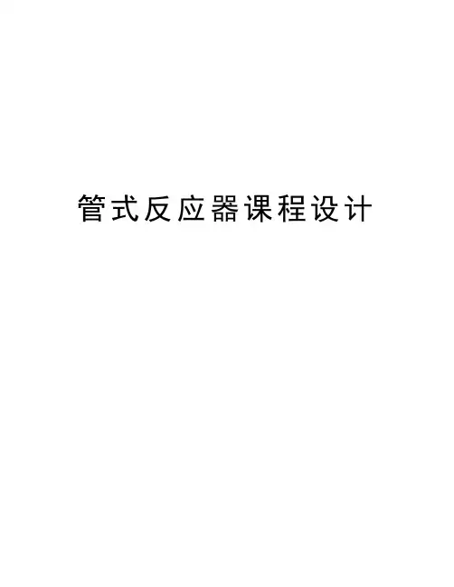 管式反应器课程设计上课讲义