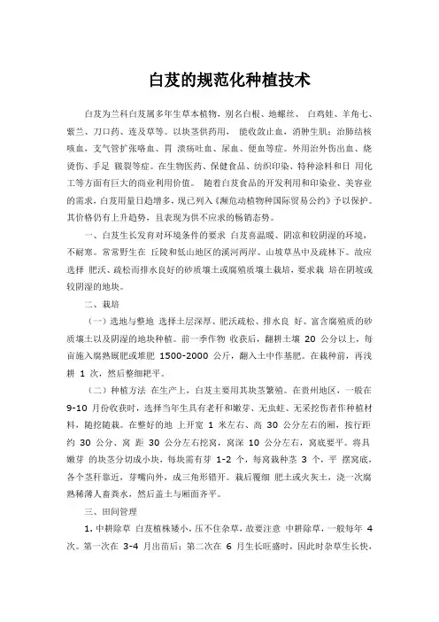 白芨