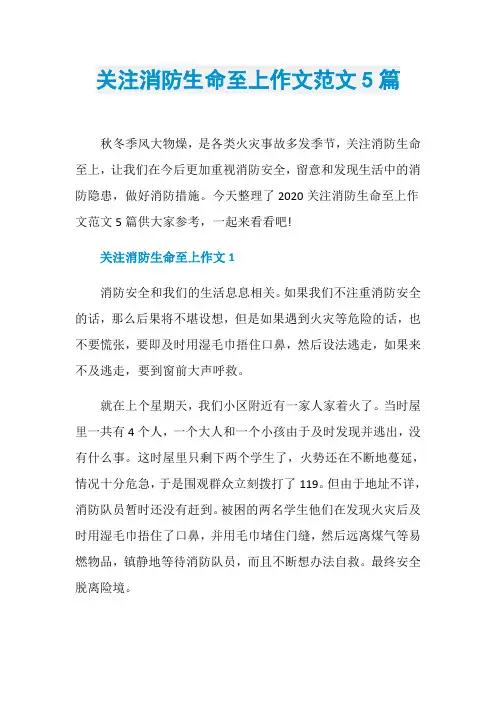 关注消防生命至上作文范文5篇
