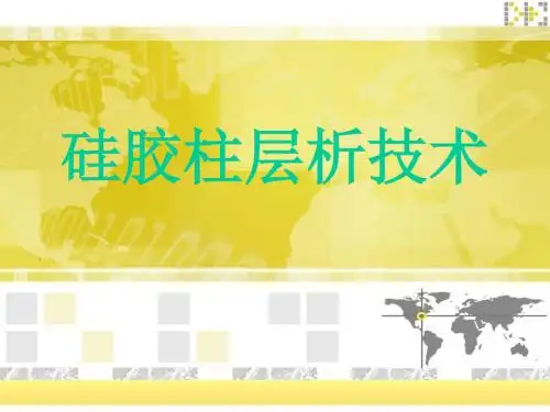 硅胶柱层析技术