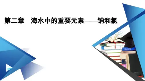 人教版高中化学必修第一册第二章海水中的重要元素——钠和氯第一节钠及其化合物第2课时氧化钠和过氧化钠
