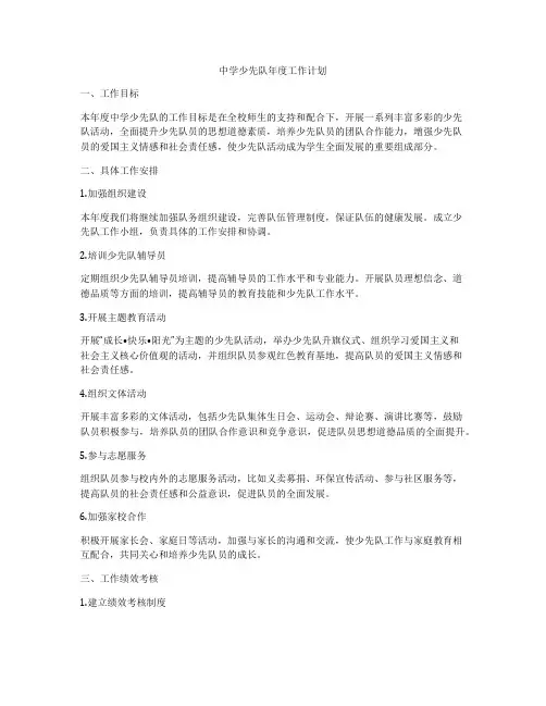 中学少先队年度工作计划
