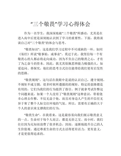 “三个敬畏”学习心得体会