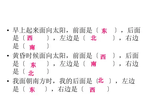 三年级下册易错题