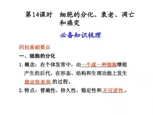 生物必修一   细胞分化,衰老,凋亡,癌变