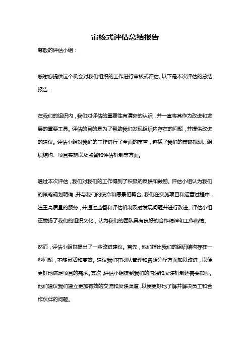 审核式评估总结报告