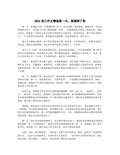 2021初三作文精选那一天,我遇到了你