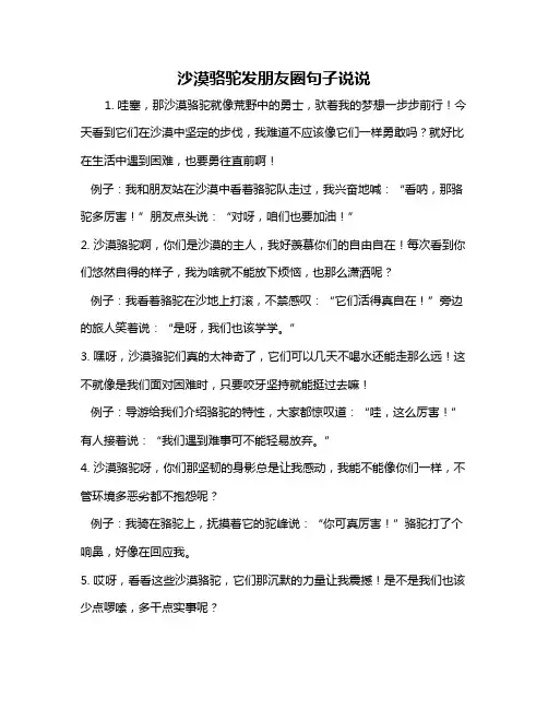 沙漠骆驼发朋友圈句子说说