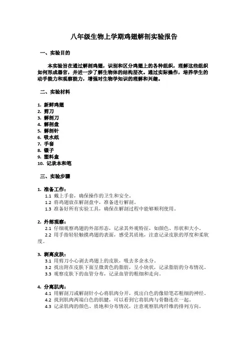 八年级生物上学期鸡翅解剖实验报告