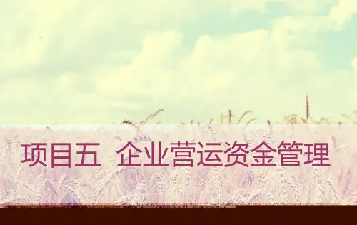 企业营运资金管理PPT课件
