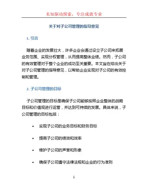 关于对子公司管理的指导意见