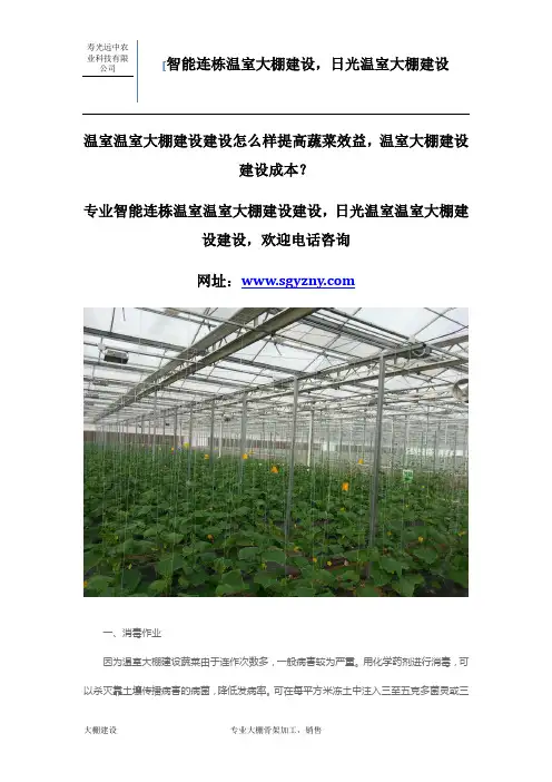 温室大棚建设怎么样提高蔬菜效益,大棚建设成本？