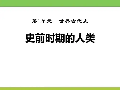 岳麓版九年级历史上册 (史前时期的人类)世界古代史新课件教学