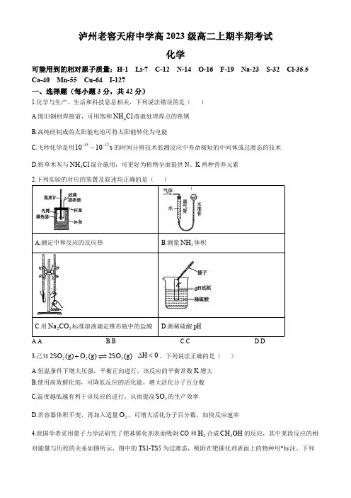 四川省泸州市泸州老窖天府中学2024-2025学年高二上学期半期(期中)考试化学试题(含答案)