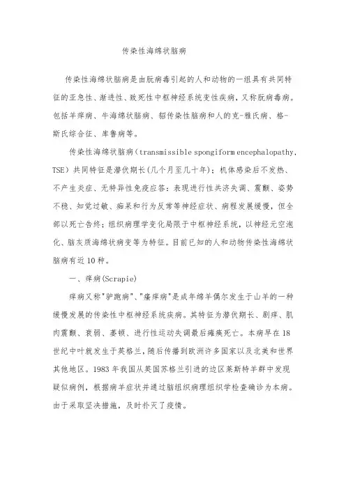 传染性海绵状脑病