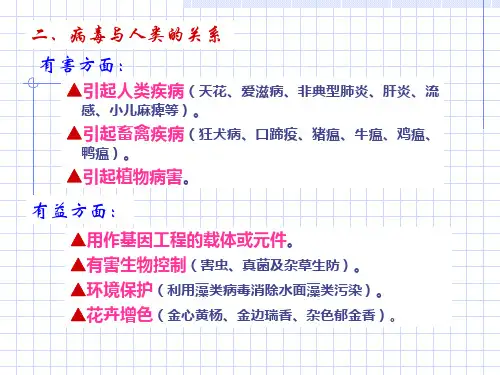 第四章 植物病毒_PPT幻灯片