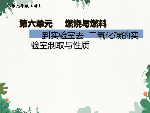 鲁教版九年级化学 第六单元到实验室去：二氧化碳的实验室制取与性质课件