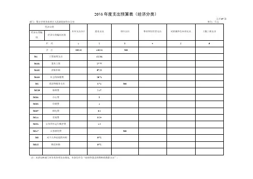 2016支出预算表经济分类