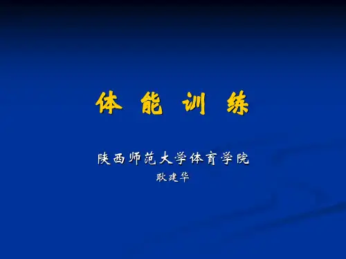 体能训练
