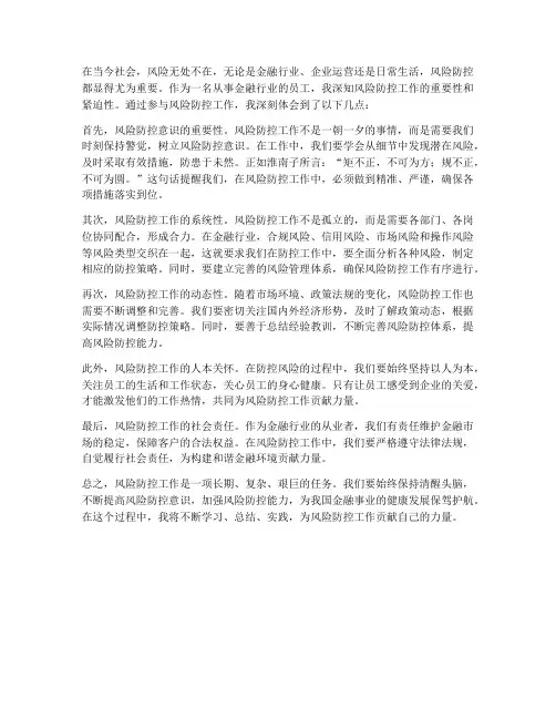 风险防控工作感想
