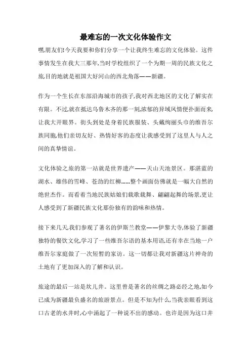 最难忘的一次文化体验作文