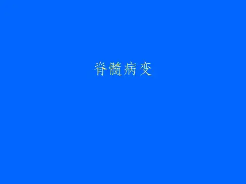 《急性脊髓炎》PPT课件