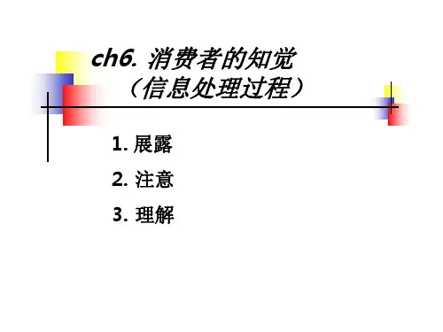 消费者的知觉PPT(39张)