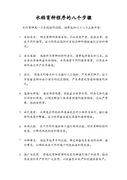 水稻育种程序的八个步骤