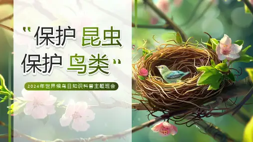 2024年世界候鸟日知识科普主题班会