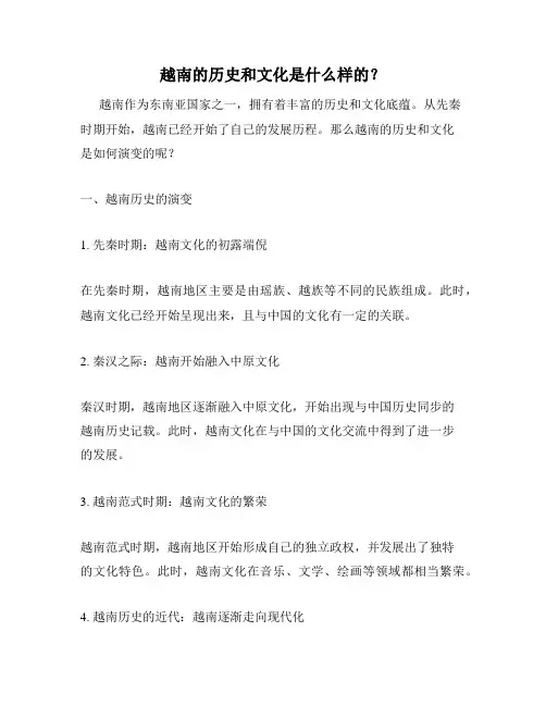 越南的历史和文化是什么样的？