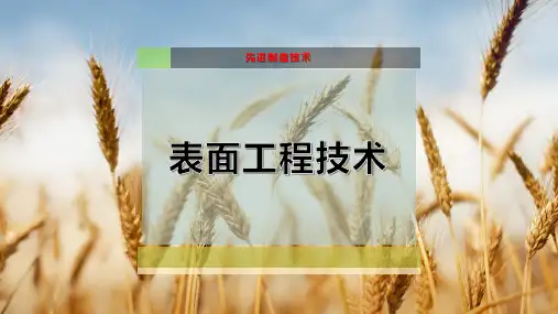 11-表面工程技术PPT模板