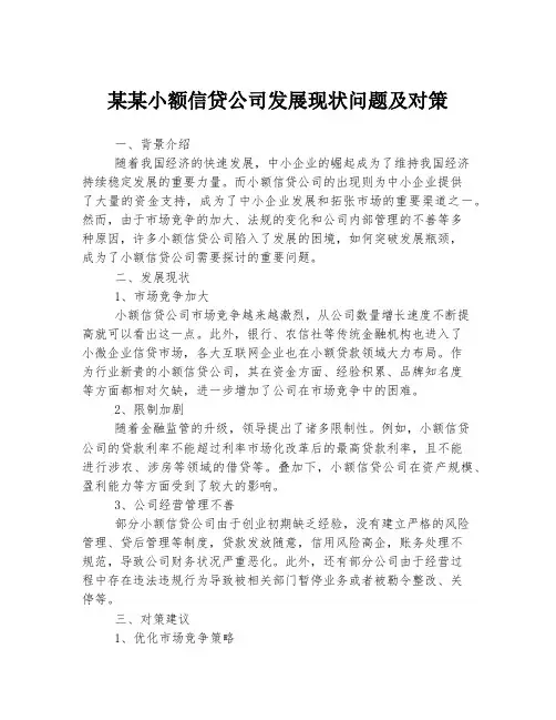 某某小额信贷公司发展现状问题及对策