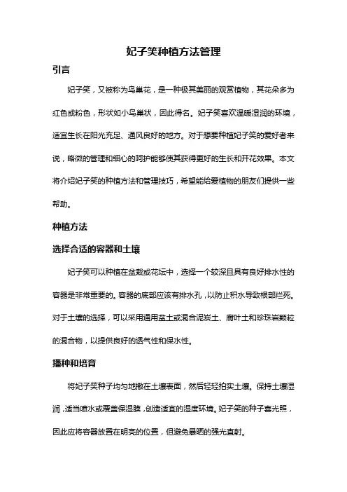 妃子笑种植方法管理