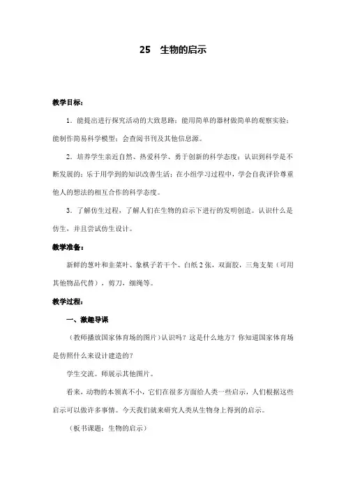 青岛版小学六年级科学下册《生物的启示》教学设计