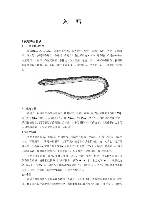 1黄鳝的生物学