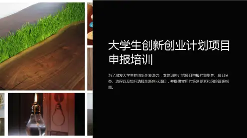 大学生创新创业计划项目申报培训
