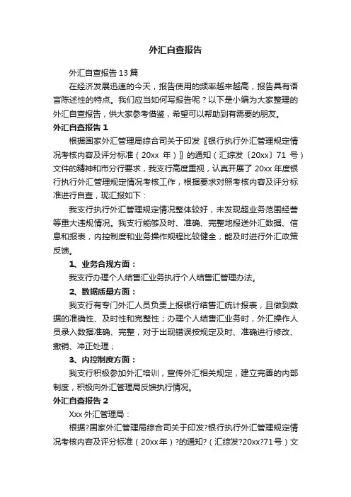 外汇自查报告13篇