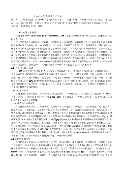 双向电泳