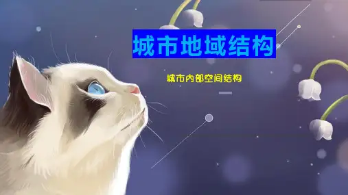城市地域结构
