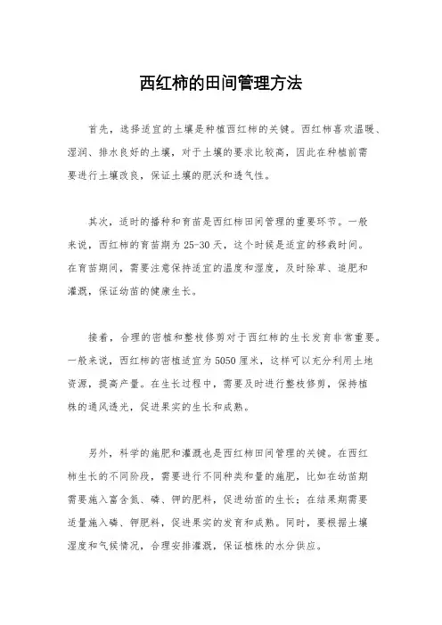 西红柿的田间管理方法