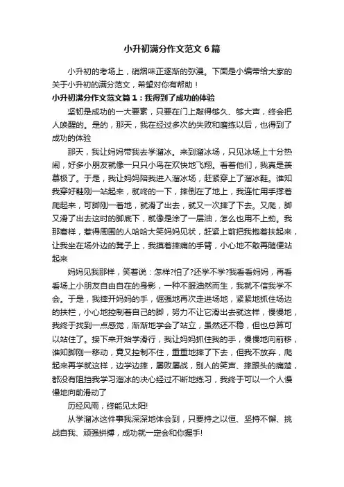 小升初满分作文范文6篇